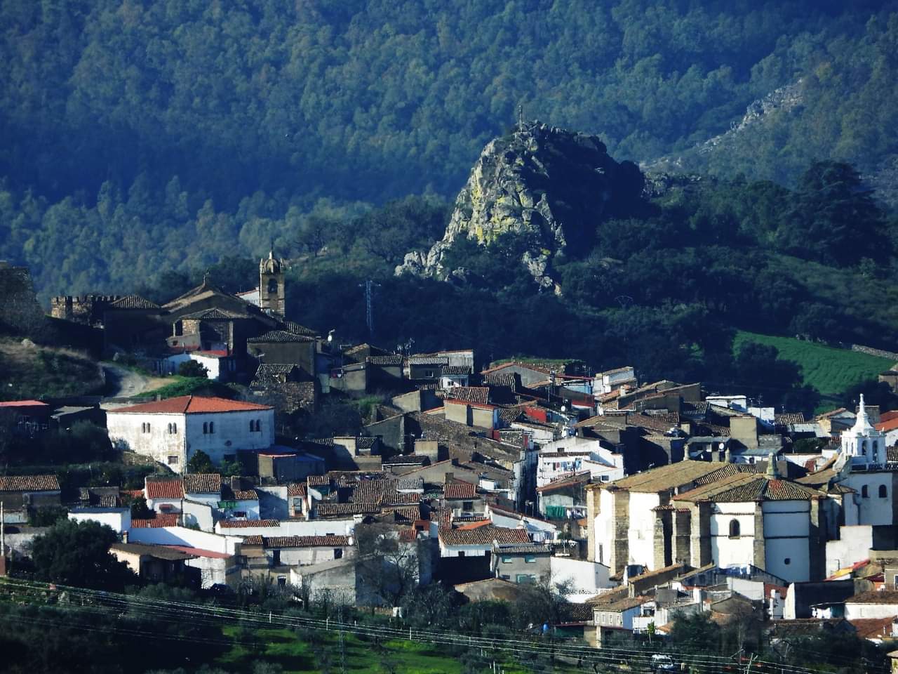 FB_IMG_1608759388027